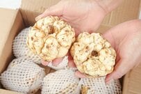 「草が生えたダンボール箱」に仰天　中身の正体に「美味しいのにね」「全部処分だなんて切ない…」