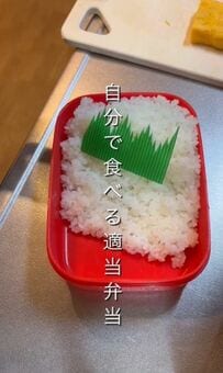 【気楽に作る適当弁当】チキンカツとアジフライでがっつり！ボリューミーなお弁当が話題