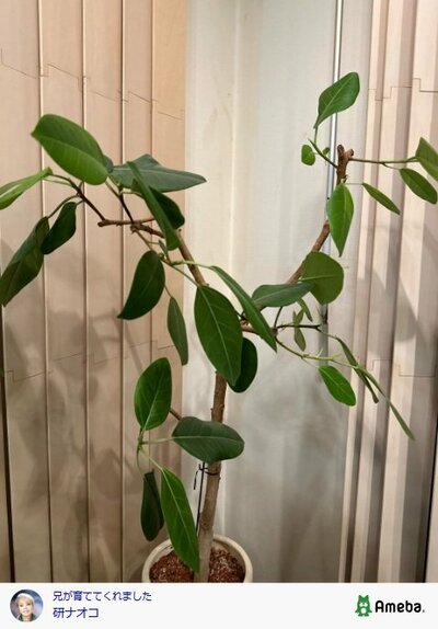 研ナオコが投稿した写真