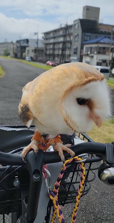 投稿の画像