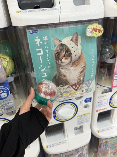 ネコーシュカをゲット