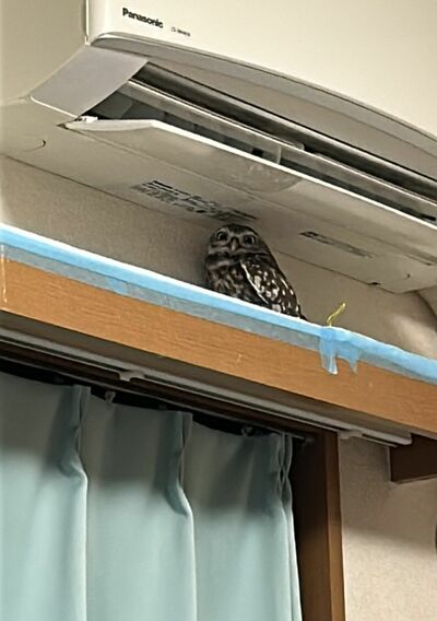 投稿動画のワンシーン