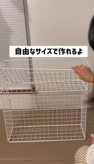 投稿の画像