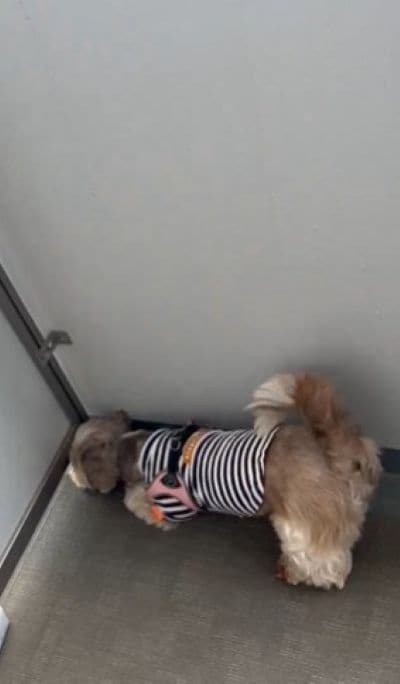 投稿の画像