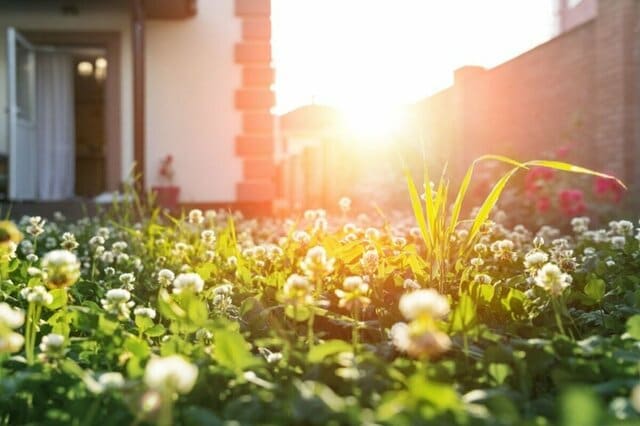 【実家の草取り、できていますか？】空き家900万戸時代、放置で固定資産税6倍のリスクも