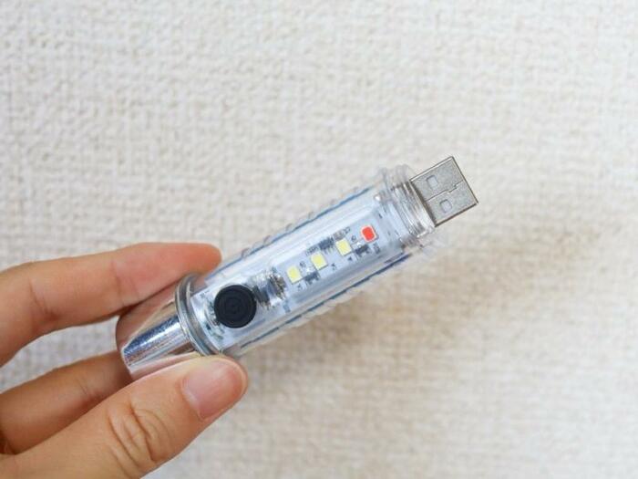 ダイソー「スケルトンライト」