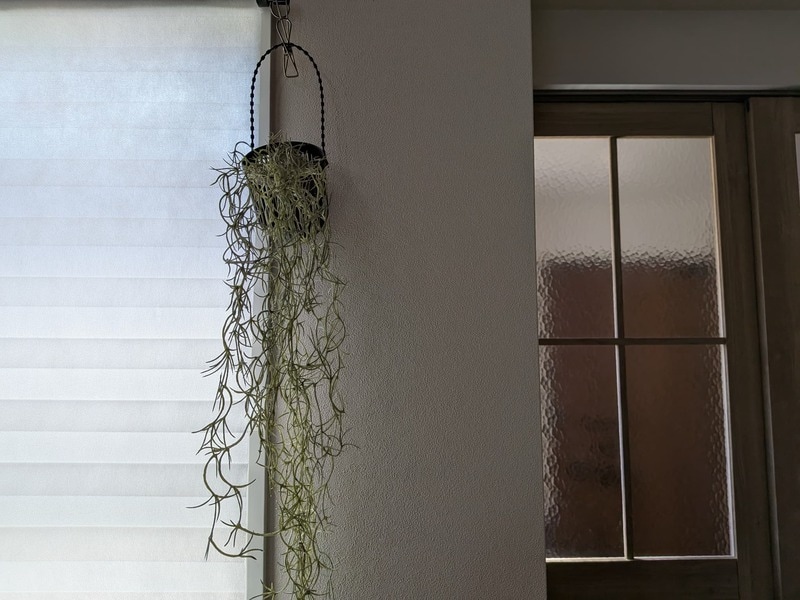 ダイソー　吊り鉢ミニブラック