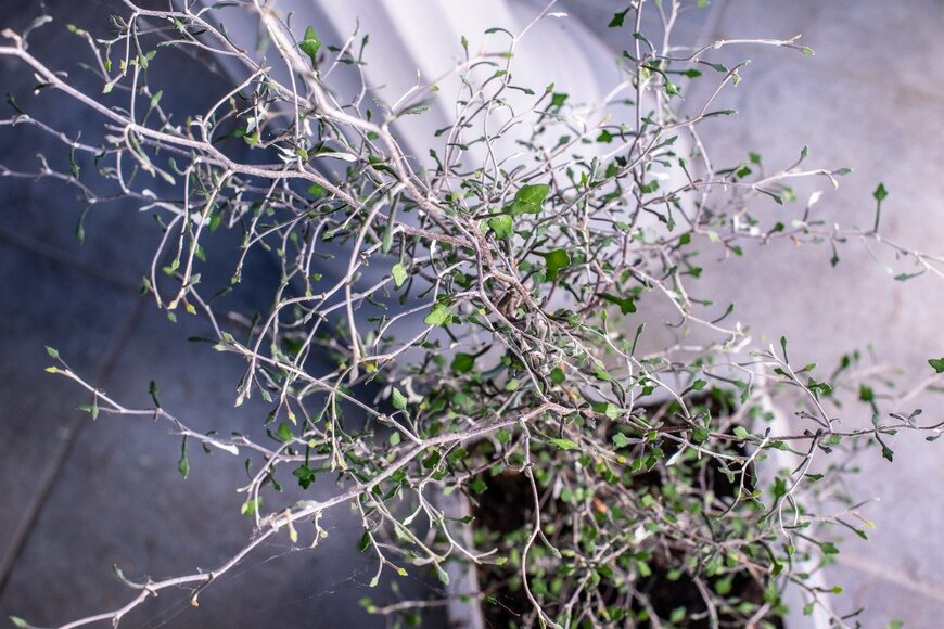 killerbayer/istockphoto.com