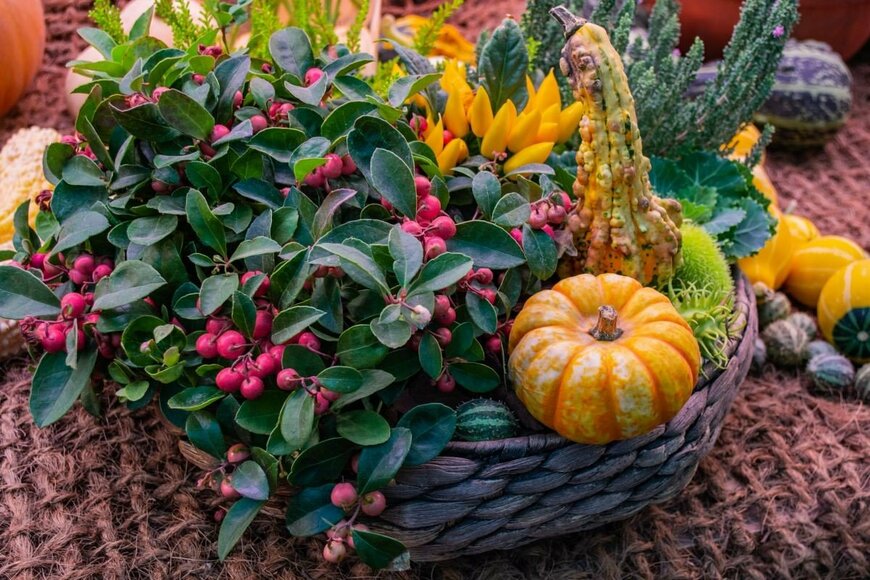 Yuliasis/shutterstock.com