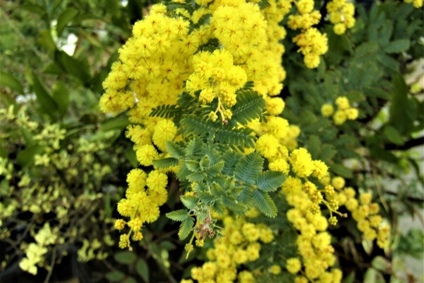 Alexander Pyatenko/istockphoto.com