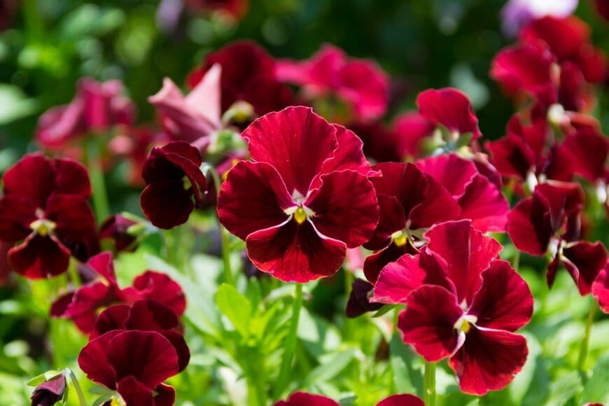 yusek/istockphoto.com