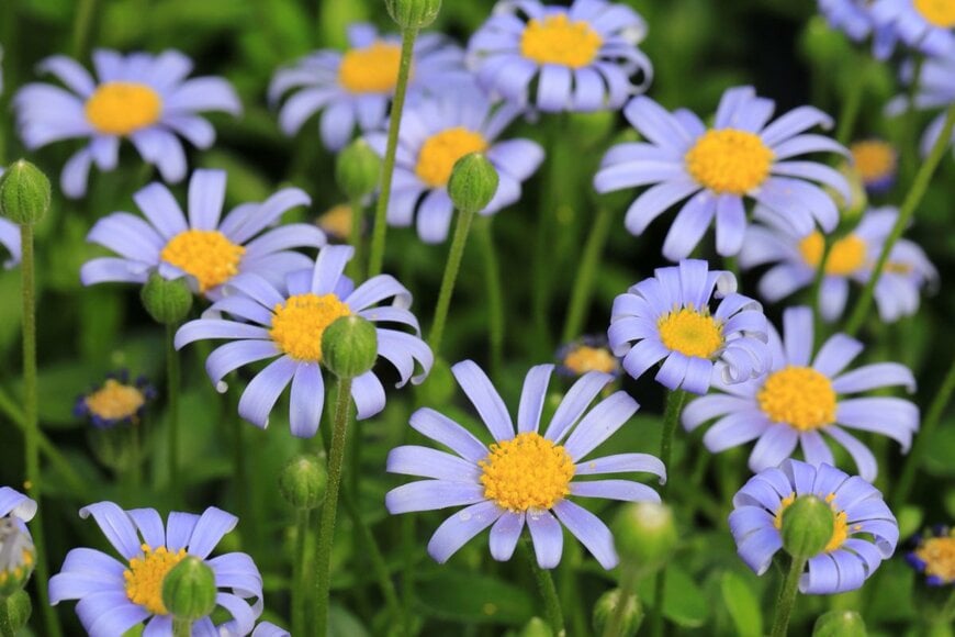 Traveller70/shutterstock.com