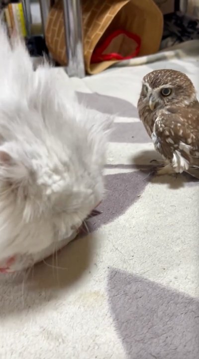 出所：@cr8673.hiro