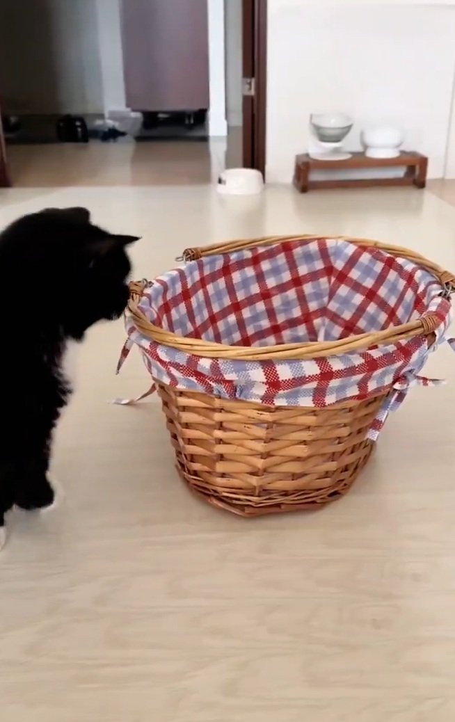 出所：@unicouniuni3