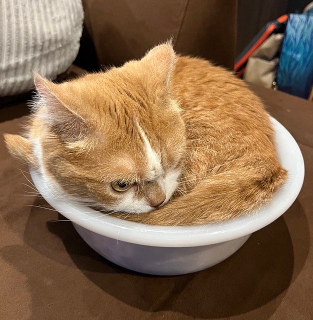 出所：@kotaro_0315