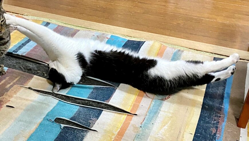 出所：@00shitemita 