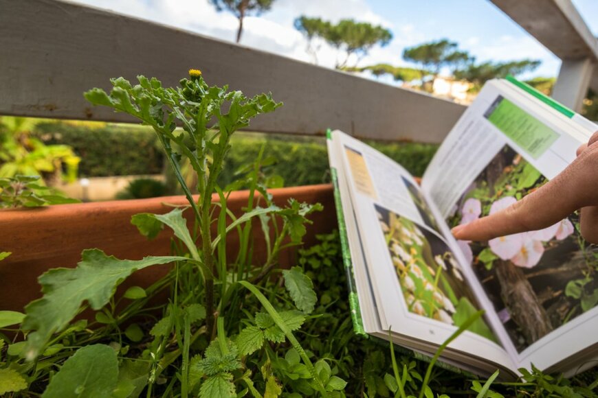 4thebirds/shutterstock.com