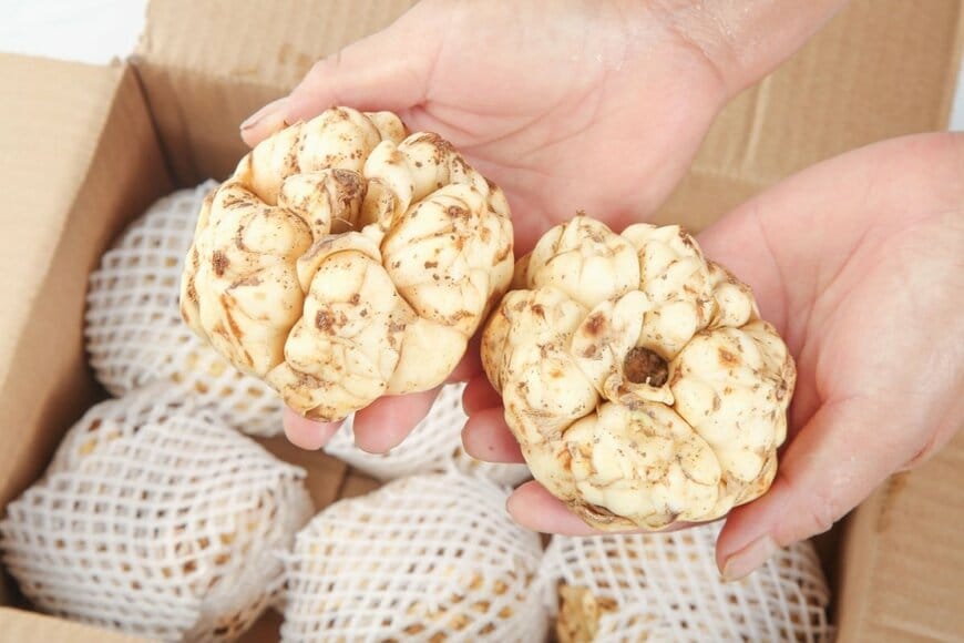 「草が生えたダンボール箱」に仰天　中身の正体に「美味しいのにね」「全部処分だなんて切ない…」