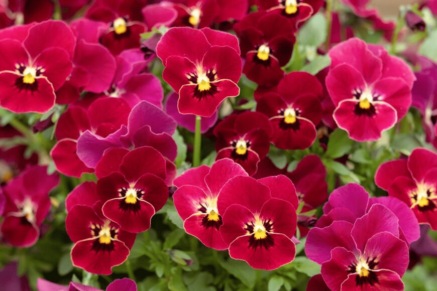 y-studio/istockphoto.com