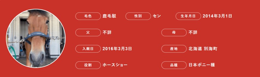 出所：JRA 東京競馬場乗馬センター 馬たちのプロフィール