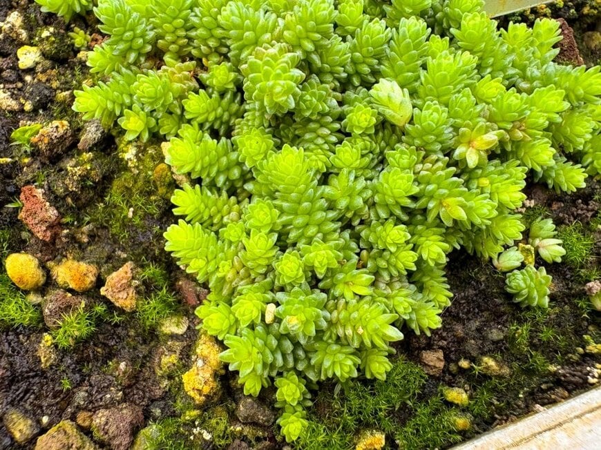 Robert Buchel/shutterstock.com