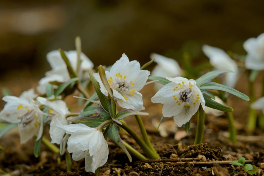 High Mountain/shutterstock.com