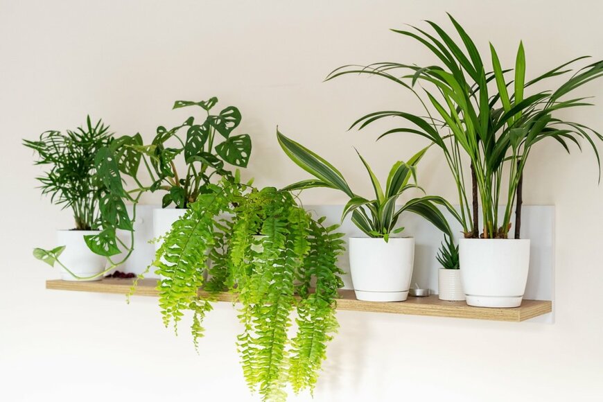 Chekyravaa/shutterstock.com