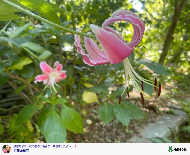 出所：假屋崎省吾のAmebaブログ 参照日：2025年8月1日