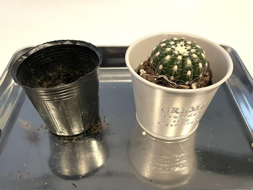 筆者撮影