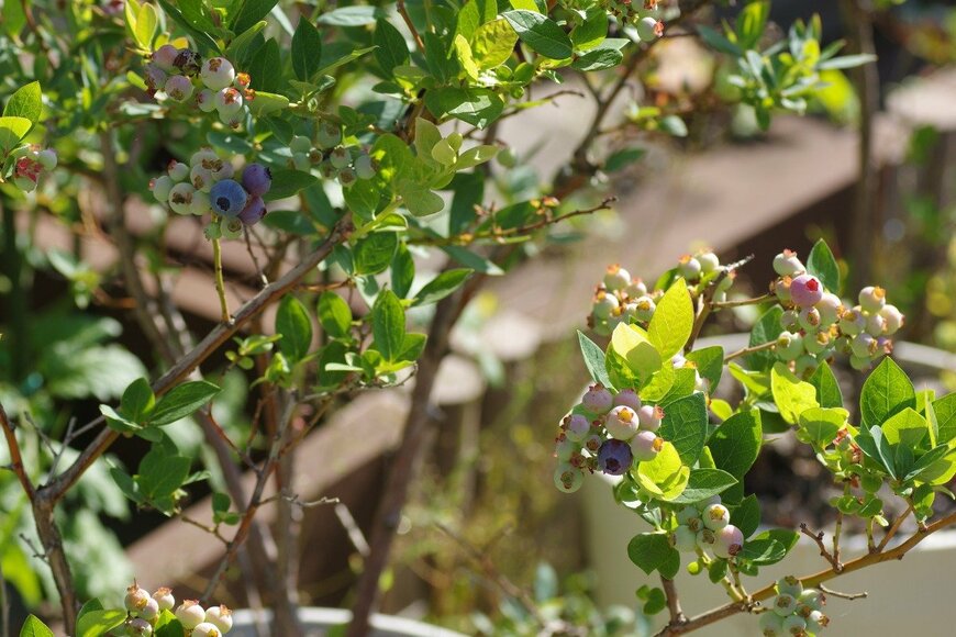 Takuya Aono/istockphoto.com