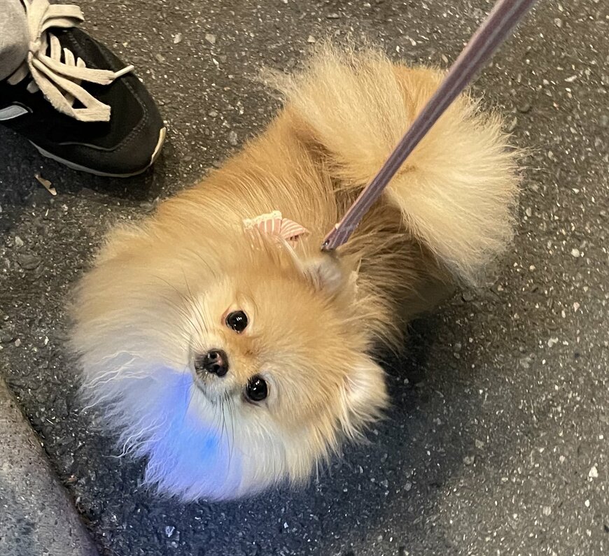 出所：@nagomi_kedama