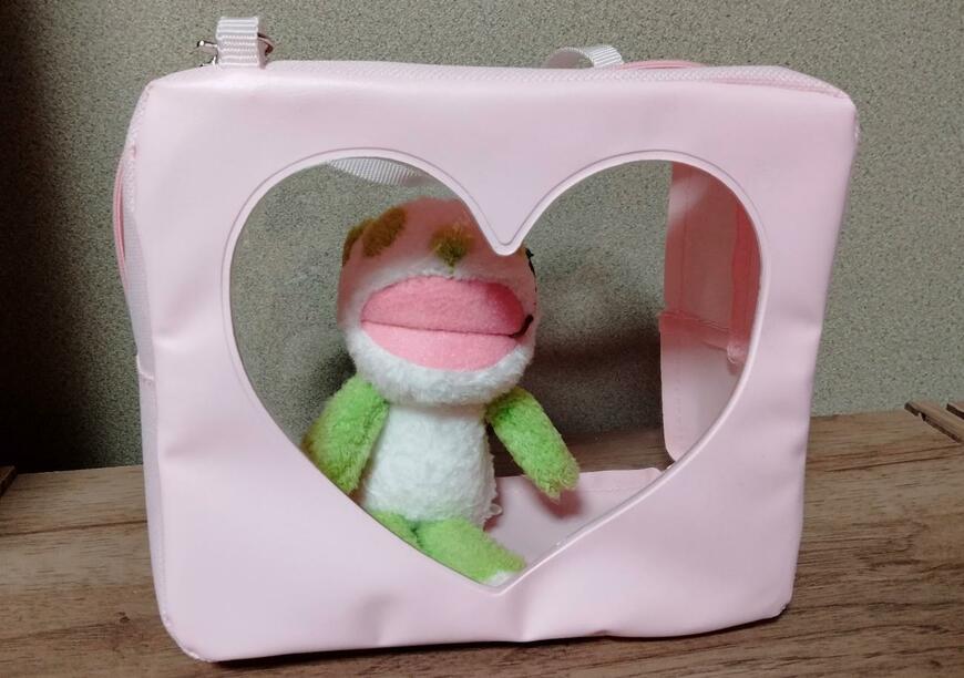 筆者撮影（セリア、ヲタコレ ぬいぐるみバッグ Lサイズ）