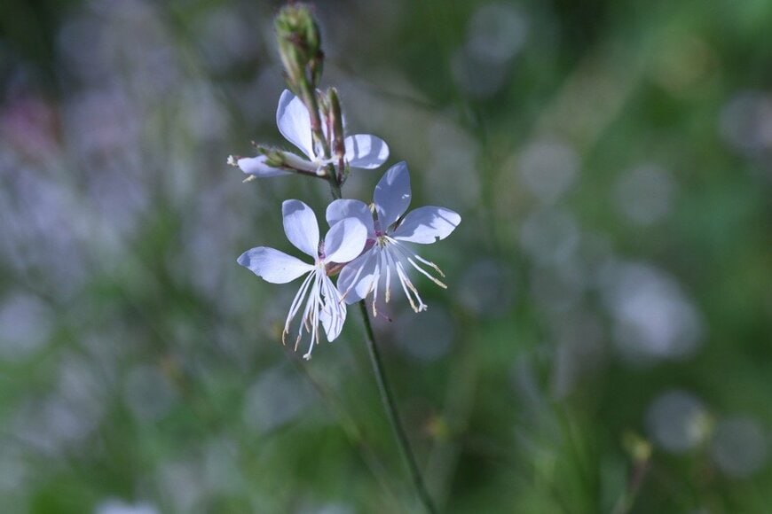 undefined undefined/istockphoto.com