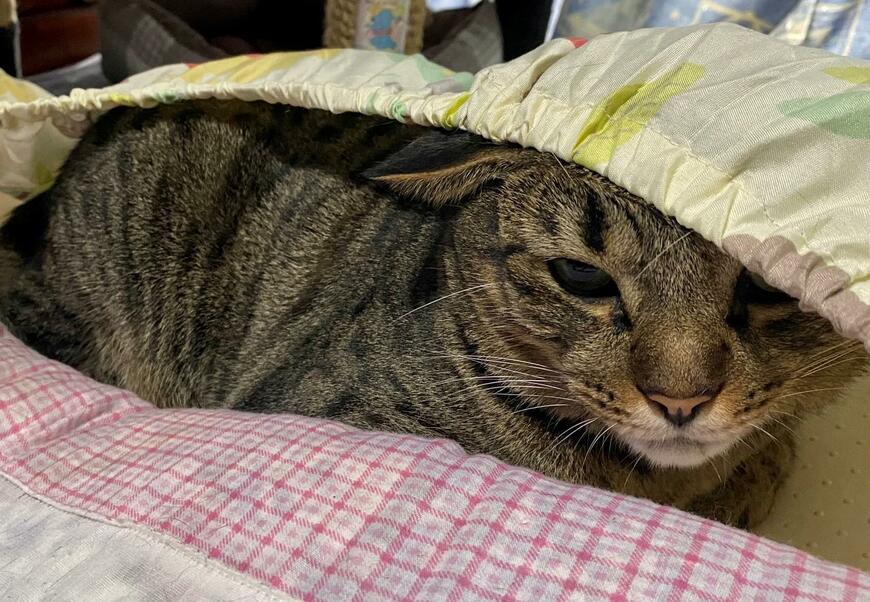 出所：@luna7taka9