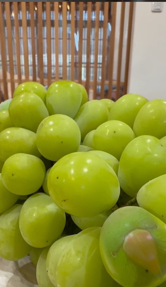 出所：@zundamame_cockatiel