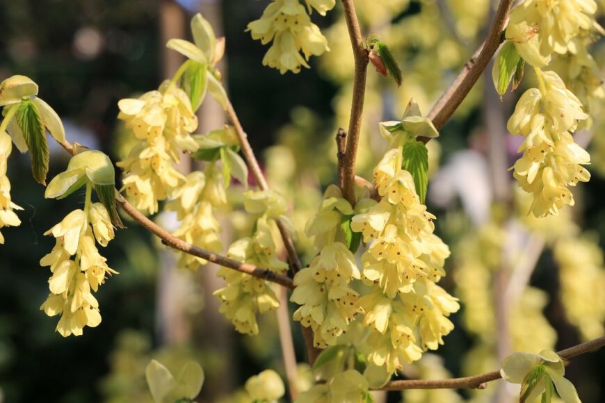 Traveller70/shutterstock.com