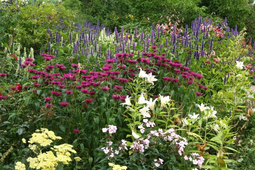 george green/shutterstock.com