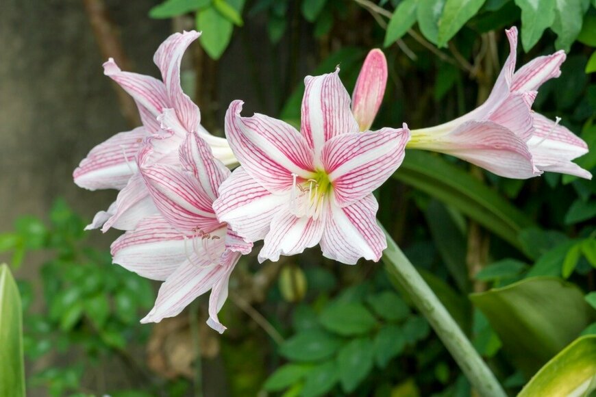 ntdanai/istockphoto.com