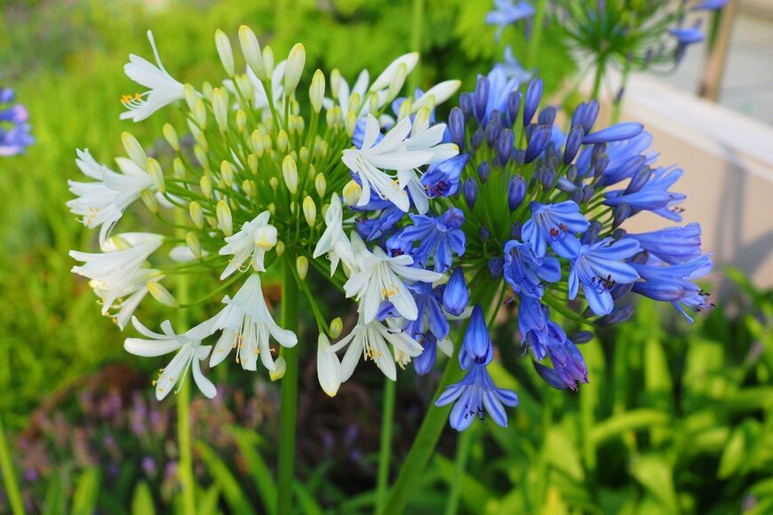 oasis2me/istockphoto.com