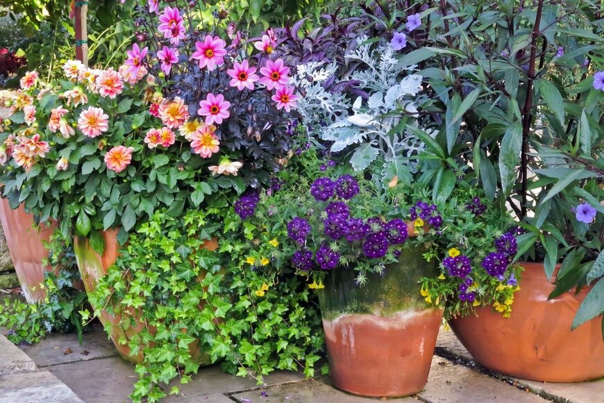 【ガーデニングの極意】オシャレな庭を作るカギは「5つの植物」の組み合わせ！