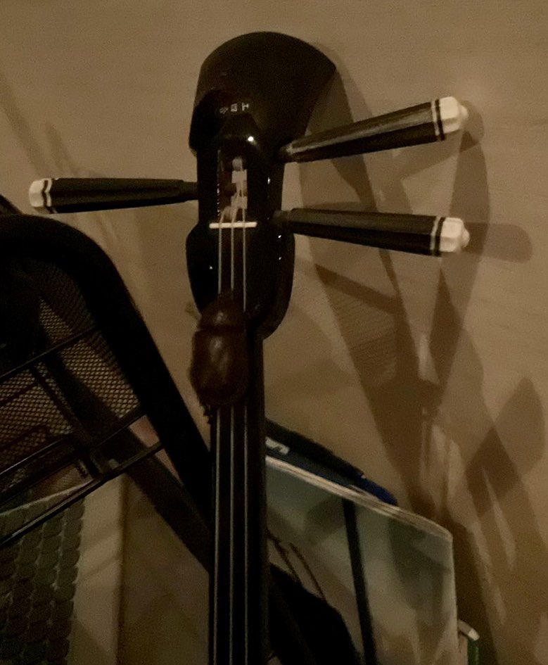 三線を使って演奏するカブトムシ