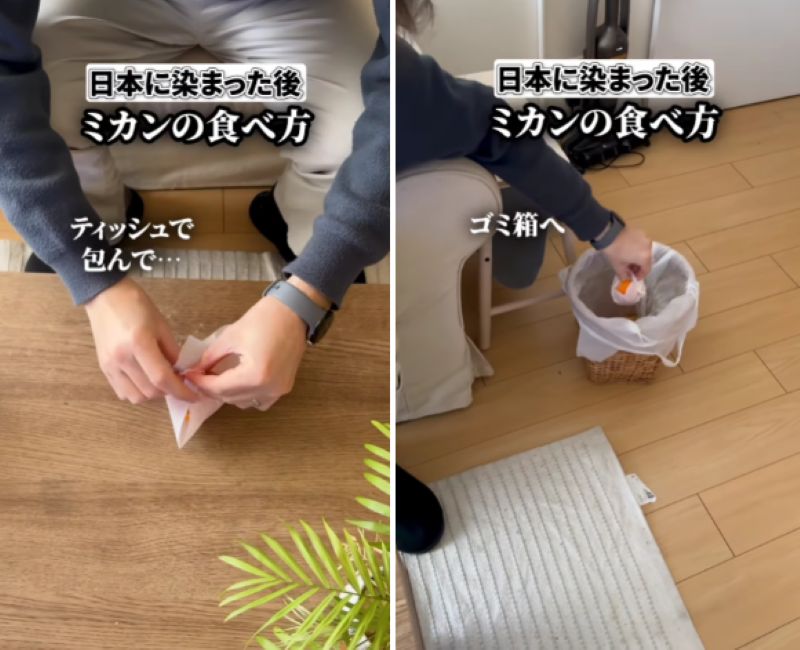 投稿動画のワンシーン