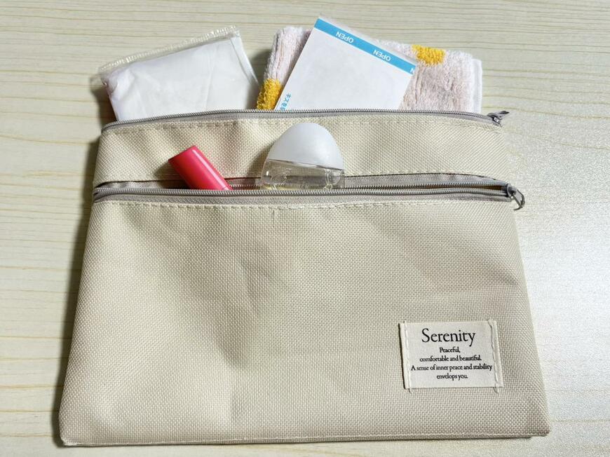 セリア「ダブルファスナーポーチ」