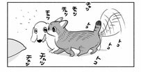 犬と猫は遊び方が違いすぎ！？描いた漫画がかわいすぎると話題