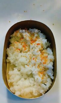 シングル父が自分に作る「唐揚げ弁当」　ホッとする定番おかずが素敵