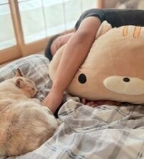 普段は「サービス精神皆無」の猫さん　パパの隣でとったまさかの行動に悶絶