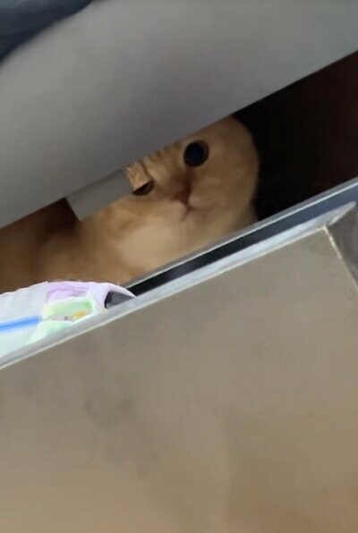 片目が不思議な状態に…？