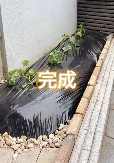 投稿動画のワンシーン