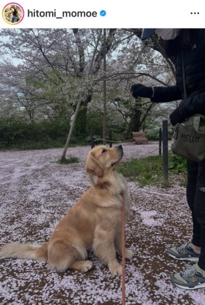 高橋ひとみのInstagram投稿