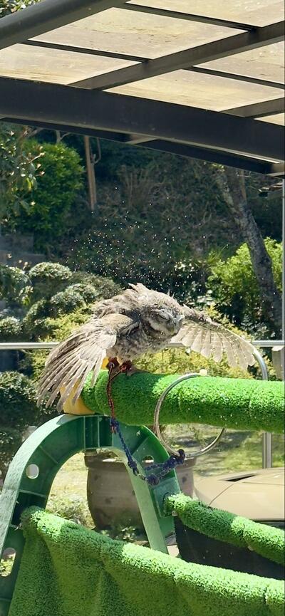 投稿動画のワンシーン